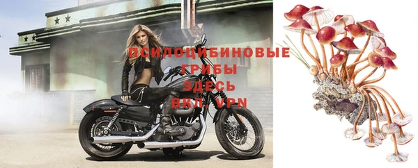 бутират Новокубанск