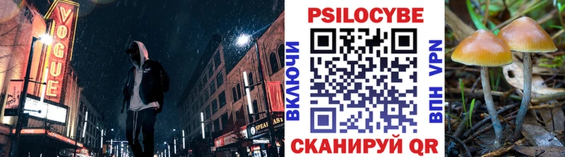 Галлюциногенные грибы Psilocybine cubensis  Чапаевск 